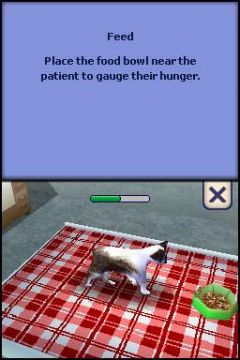 The Sims 2 Pets (DS)