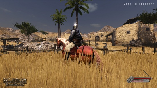 Mount & Blade 2 v obrazech