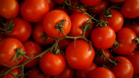 Výrobce kečupu Heinz spouští kampaň ve Fortnite. Varuje před klesající kvalitou úrodné půdy