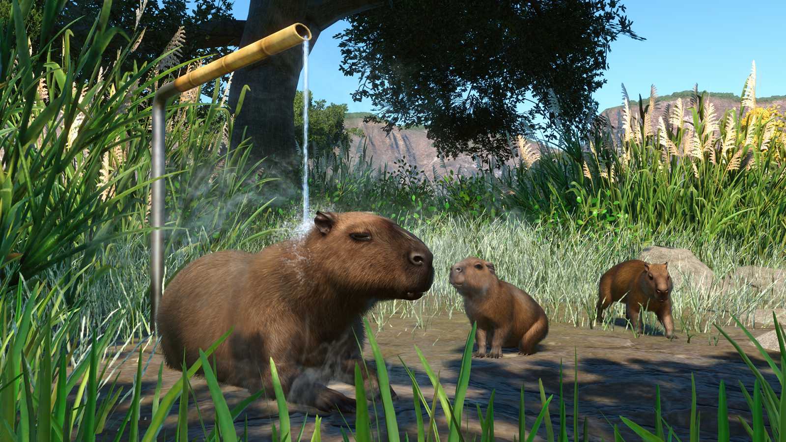 Planet Zoo míří do mokřadů. Nové DLC přinese i nejlepší zvíře na světě, kapybaru!