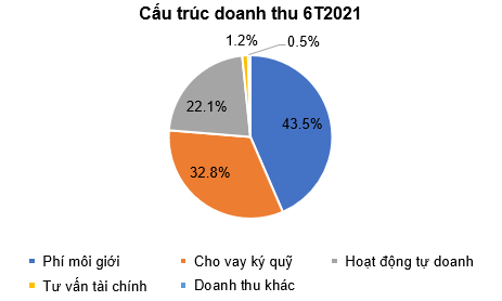 cấu trúc doanh thu 6T2021