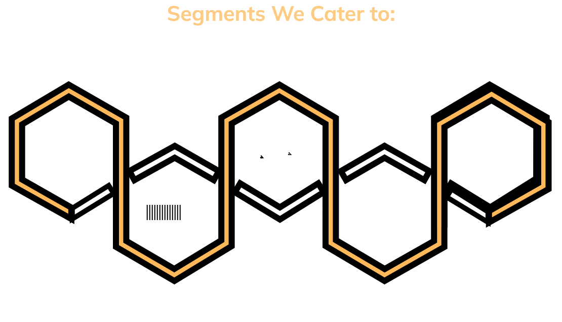 Hinduja Tech_Platform Engineering_Segments we cater to_SVG