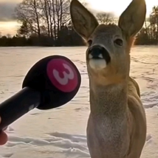 beancan24 profile picture