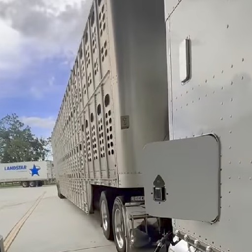 Jorgedaniel82 profile picture