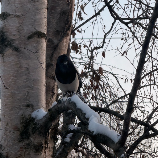 court907 profile picture