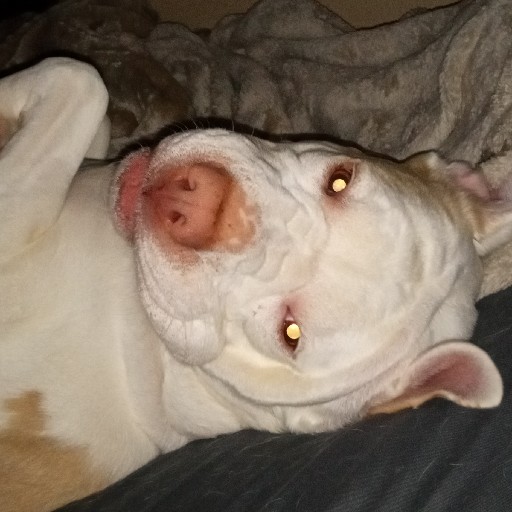 citizenVI profile picture