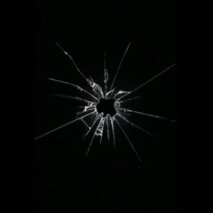 MichaelHofer  profile picture