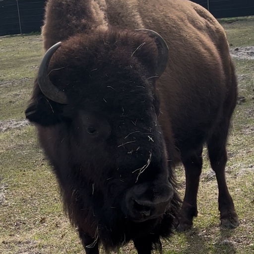 p2222 profile picture