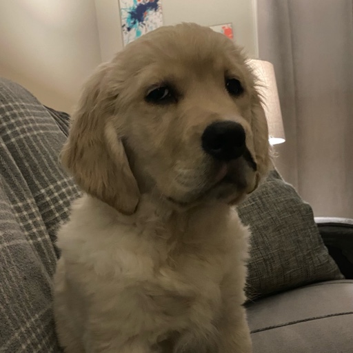 LandoP profile picture