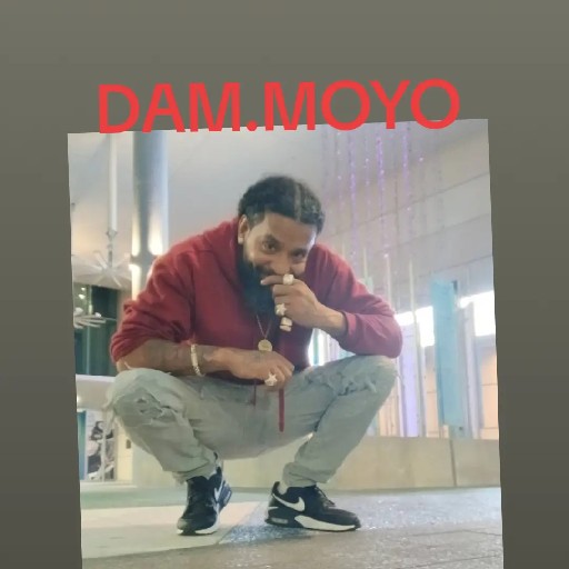 moyo  profile picture