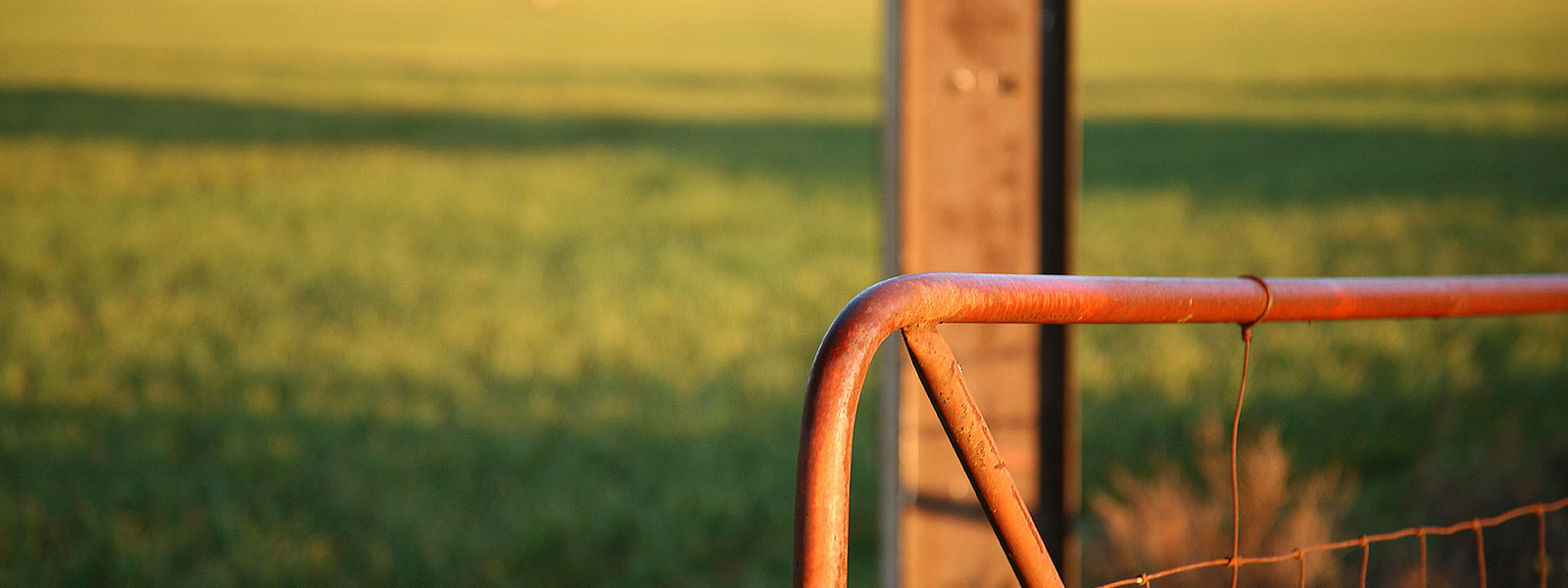 Rural and Agribusiness valuations