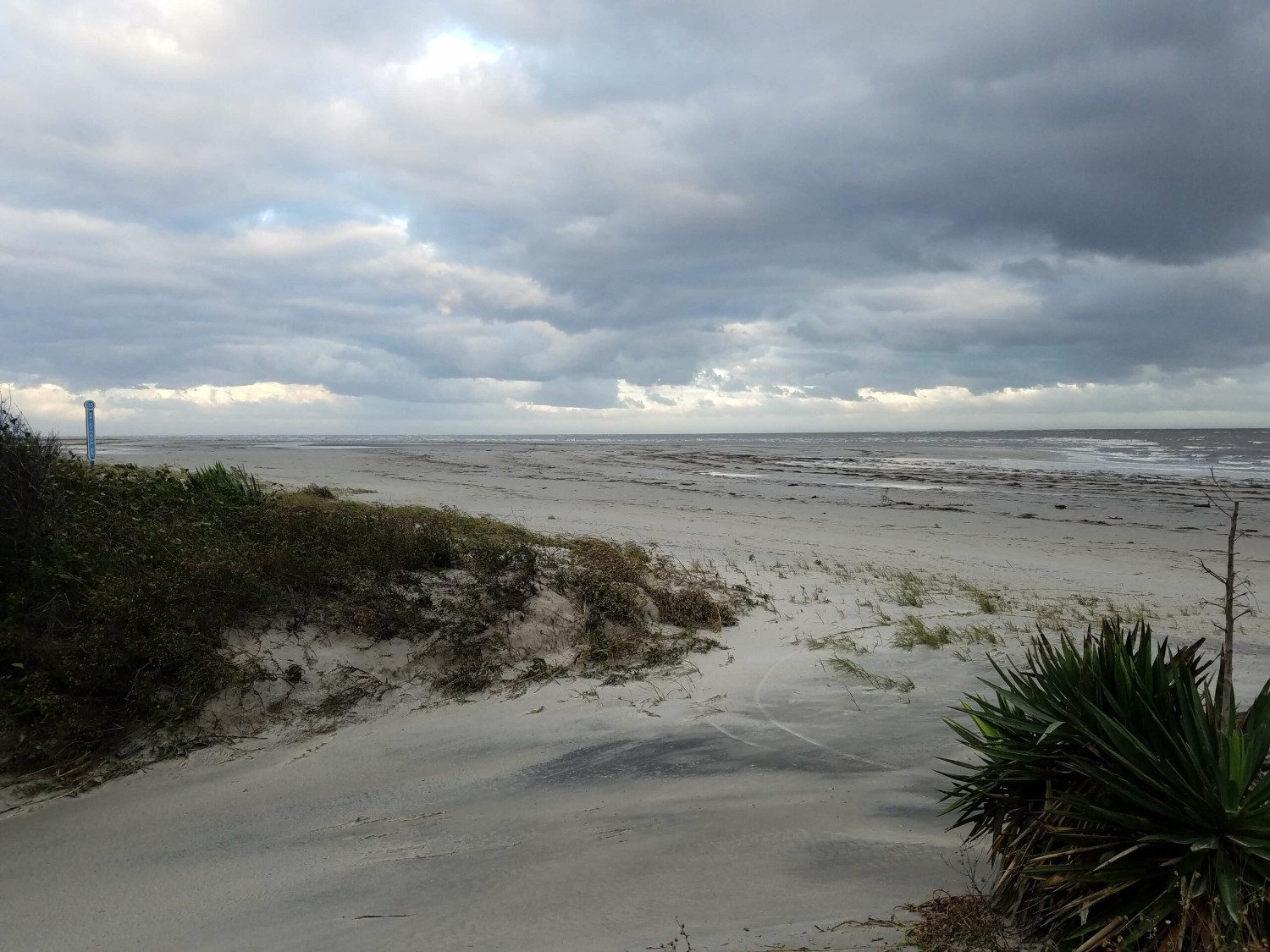 20170911_185917-1-scaled-1 AIA Golden Isles Weekend at the Beach