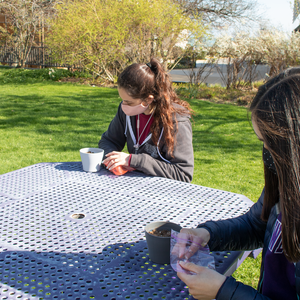 sustainNU Holds Hybrid Planting Workshop