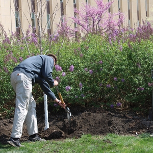 Arbor Day Tree Planting Ceremony at the University of Nebraska-Lincoln