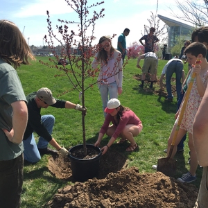 Colorado State Earth Day Festival