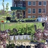 Plant sale at the College of Staten Island