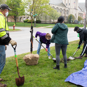 sustainNU and Partners Host Tree Planting