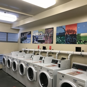 CSU Monterey Bay - Laundry to Landscape