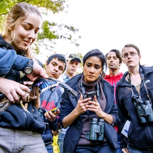 Sustainability in the Curriculum at Humboldt State University