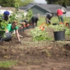 Tree Planting at the Marion Polk Food Share During Chemeketa's Earth Week