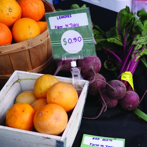 Good Food Purchasing Program, University of Texas at Austin