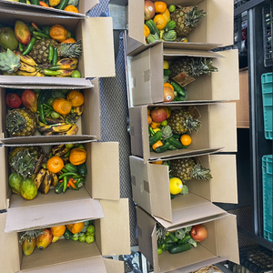 Contactless Food Box Deliveries: Driving Down Food Insecurity