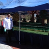 The UConn Bakery made over 1000 Tree Cupcakes for the Annual Earth Day Spring Fling and Arbor Day Celebration on April 16th.