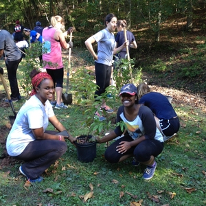 Emory University adopted a Pollinator Protection Policy in 2014