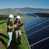 Students performing research at the Gold Tree Solar Farm