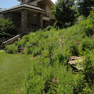 Warren Wilson College Native Grass Landscaping: Changing the Way We Plant the Campus to Reduce Greenhouse Gas Emissions, Improve Wildlife Habitat and Minimize Maintenance