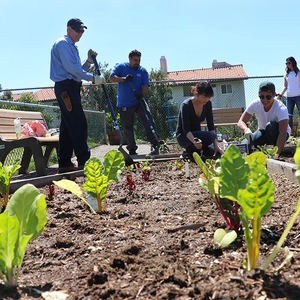 UC San Diego Earth Day: Annual Sustainability Fair & Tree Planting