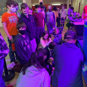 Middle School Aquaponics