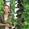 Emory University supports Better Life Growers through a commitment to purchase lettuce