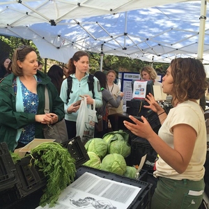 UT Farm Stand