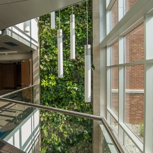 Delta College Living Wall