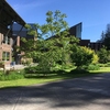 A view of the Food Forest sign and growing space