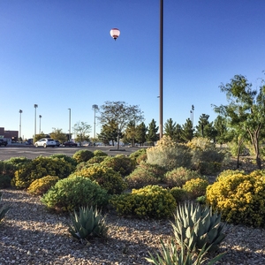 Central New Mexico Community College, Main Campus Detention Basin