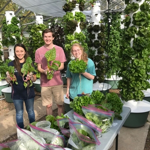 TAMU Urban Farm United (TUFU) Campus Food Forest Serves Aggies in Need