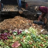 Bobcat Blend crew processing food waste