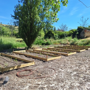 IE Sustainability Townhall: A Participatory Funding Model for Campus Sustainability and Community Impact