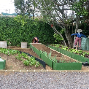 Colaboration with Community garden in San Juan District