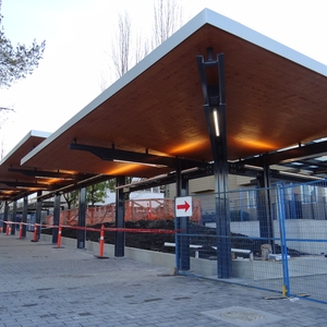 Newly-constructed, wheelchair-accessible canopy walkway with light-coloured pavers.