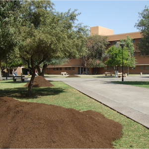 Grounds Services Green Waste Re-Use Program at Arizona State University