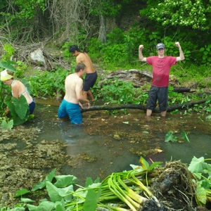 Composting for a Greener Campus: the Texas State University Bobcat Blend program