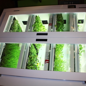 Kitchen Greenhouse at York University