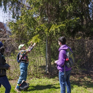 Concordia University's Earth Week BioBlitz