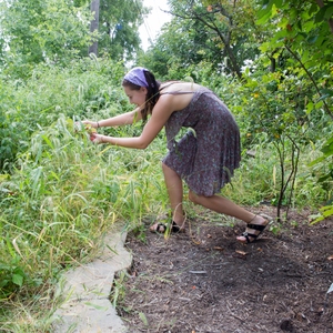 Muhlenberg College Water Conservation Native Plants