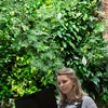 RVCC students enjoy the two-story living wall in the student center. Captured rainwater feeds the living wall and the building's toilets.