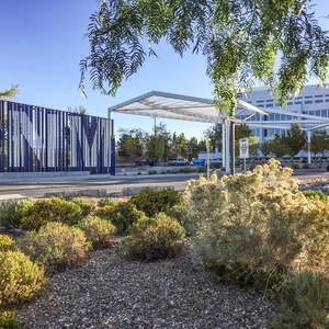 Central New Mexico Community College, Main Campus Detention Basin