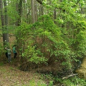 CNU Green Earthday Clean-up